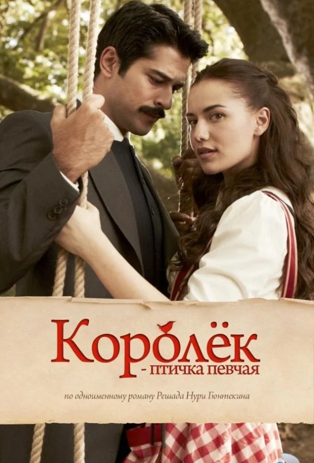 Королёк – птичка певчая (2013) турецкий сериал